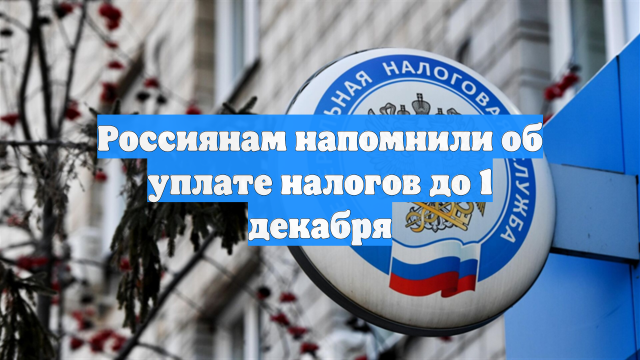 Россиянам напомнили об уплате налогов до 1 декабря