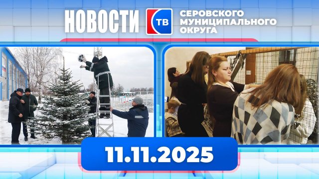 Новости от 11 ноября 2025 года