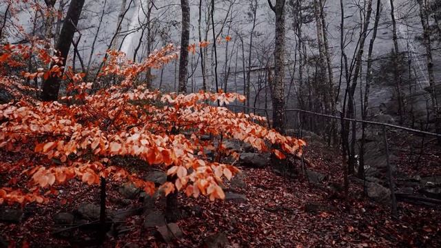 Когда идёт дождь