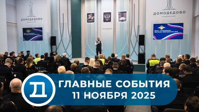 11.11.2025 Домодедово. Главные события.