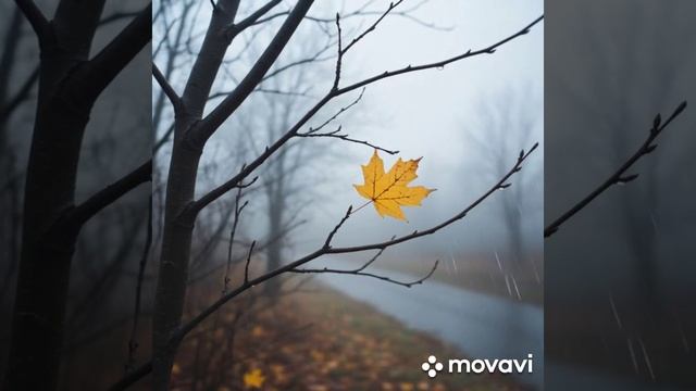 Осень настала.... (Корниенко Алексей 2025г.).mp4