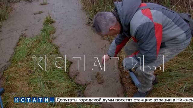 Озеро Байкал в Богородском районе отравили десятками тонн навоза