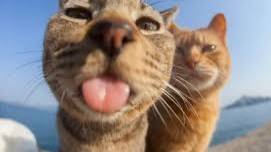 Mount & Blade II: Bannerlord Проходим)))