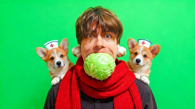 ЭКСТРЕМАЛЬНО ЛЕЧИМ МЧ ОТ ПРОСТУДЫ!! Корги Кекс Говорящая собака