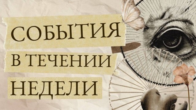 События в течении недели - 40