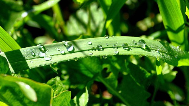 Я дышу этой музыкой дождей