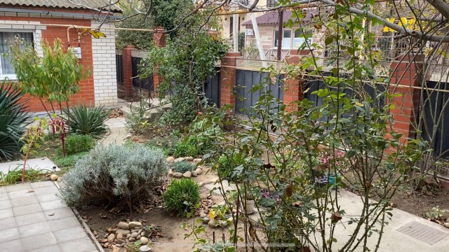 #Влог. Завтрак, прогулка по двору, саду, море, кошки🌹🍁🍂🌊🐈