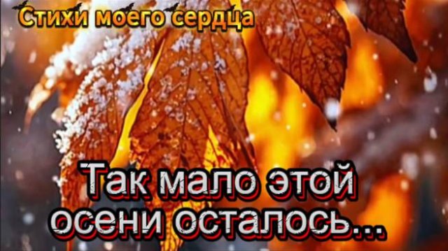 Так мало этой осени осталось...
