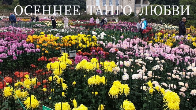 «Осеннее танго любви». Стихи Маргариты Булгаковой, мелодия Николая Носкова