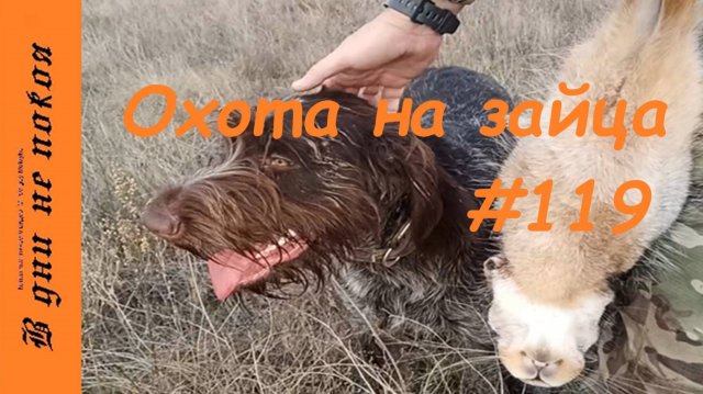 Охота на зайца. Выпуск № 119 18+