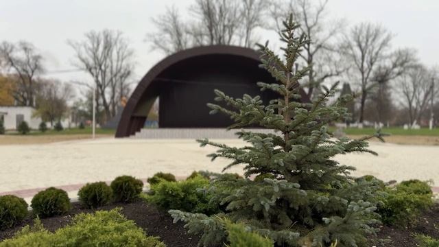 12-11-2025 г.  Инициативное бюджетирование новый импульс для развития сельских поселений