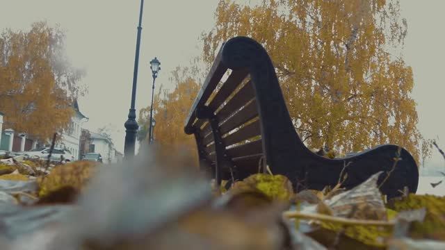 Осень в Плесе