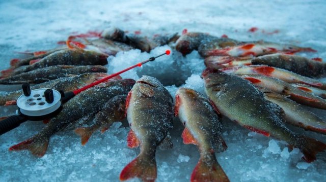 Самая Лучшая Зимняя Рыбалка. Новое Приключение