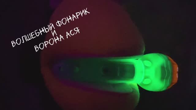 Волшебный фонарик и ворона Ася