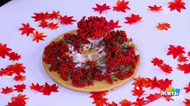 Чем полезна рябина и как ее готовить? Жить здорово! Фрагмент выпуска от 12.11.2025