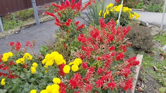 Железноводск.Осень  25 г  ч 2