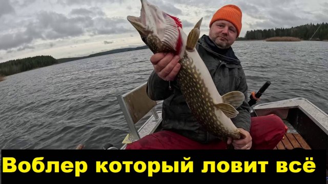 Каким воблером ловить, когда клюет плохо.