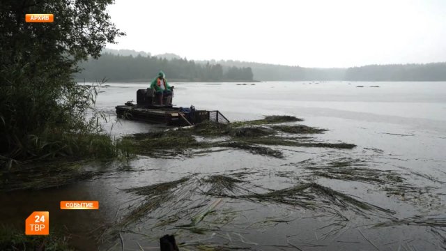 За чистоту водоёмов