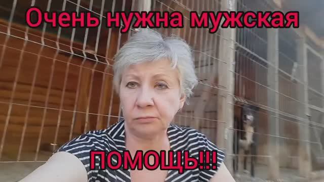 Очень нужна мужская ПОМОЩЬ!!! Приют для животных