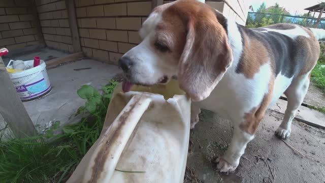 Влог от 16.09.2021