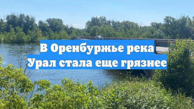 В Оренбуржье река Урал стала еще грязнее