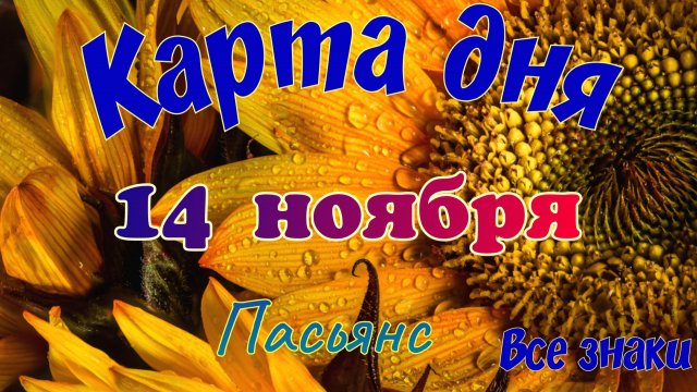Карта дня 🍁14 ноября 2025🌾🌞Пасьянс.Там-код в описании🦢