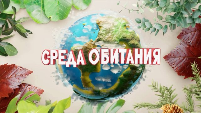 Сахалинская область досрочно достигла углеродной нейтральности. Среда обитания 12.11.25