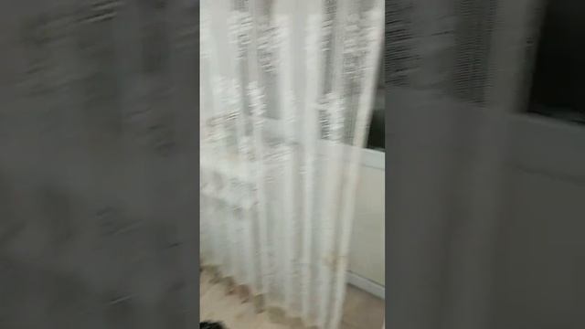 Знакомьтесь: Центр-музей Универсологии и причинно-системного оздоровления с хрнителемАллойСидельник.