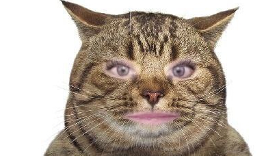 Не хотят слушать и донатить#лысенко