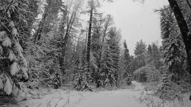 Красота природы.