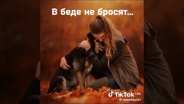 подписывайся