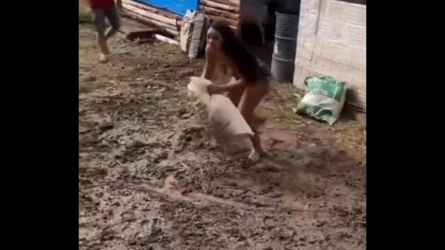 Девушка убегает от барана