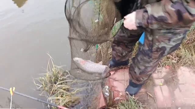 VID_20251112_105248_702