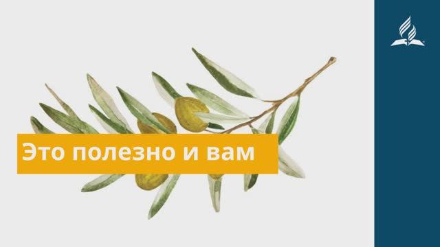 13 ноября 2025  Это полезно и вам  Под сенью благодати . Под сенью благодати | Адвентисты
