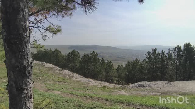 С Друзьями на пикнике/Приголовила Алексею на работу