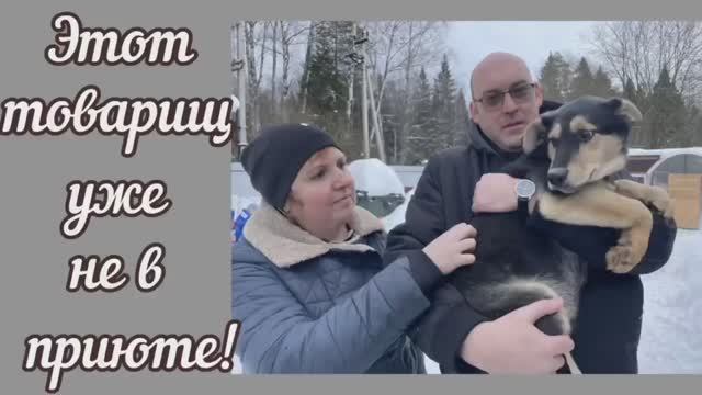 Этот товарищ уже не в приюте!