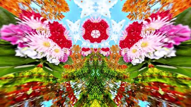 Футажи! Футаж Осенняя волшебная сказка 1! Осеннее волшебство!