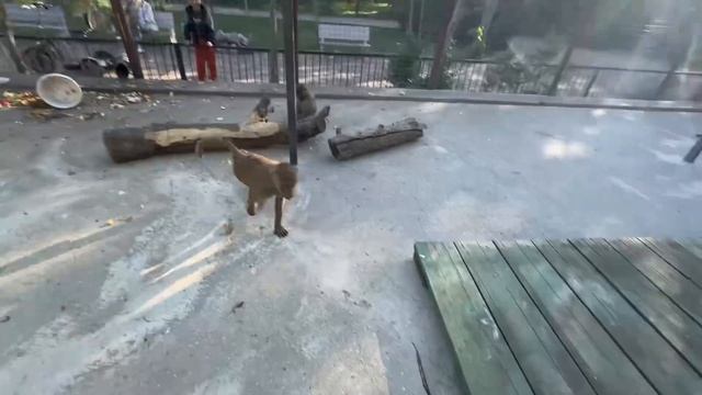 Люська со Степой устроили мне и Владу ТАКУЮ ВСТРЕЧУ, что мы просто ничего не могли делать))