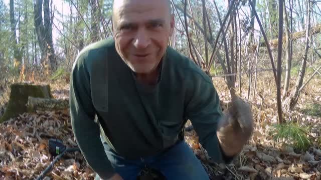 Поиск клада