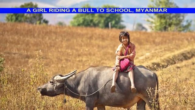 25 of the Most Dangerous Journeys to School in the World