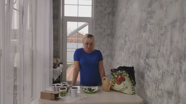 Зимний сад на подоконнике / Сажаем цветы Ранункулюс  и огурцы