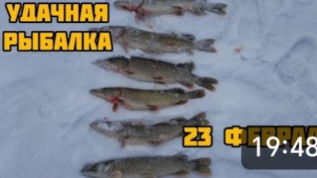 УДАЧНАЯ РЫБАЛКА 23 ФЕВРАЛЯ 🐟🎣 РЫБАЛКА В ТАМБОВСКОЙ ОБЛАСТИ ☝️