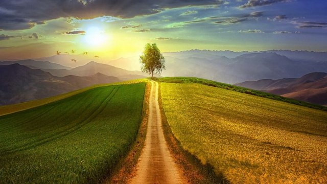 Чем мне заниматься в жизни (сфера деятельности).... онлайн расклад....