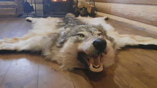 Шкура волка от компании "Русский медведь"