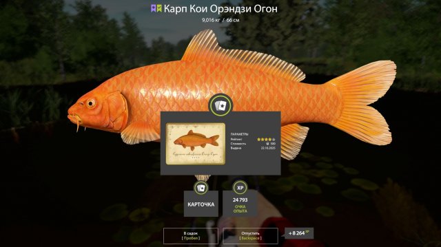 3000 СЕРЫ ЗА 3 ЧАСА, ЛЕГЕНДАРНАЯ РАЗДАЧА ФАРМА НА МЕДНОМ ОЗЕРЕ, ОБЗОР ВОДОЕМОВ РУССКАЯ РЫБАЛКА 4 РР4