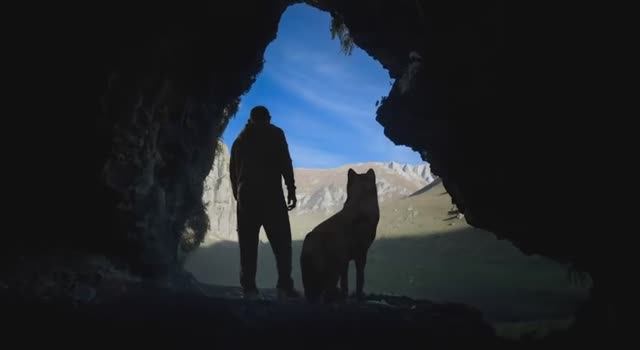 Сила в движении. Сила в свободе