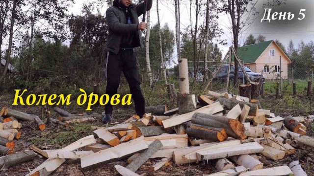 #4 Купили Заброшенный Дачный Участок / Колем дрова / ОБРАБОТКА УЧАСТКА / ДАЧА С НУЛЯ
