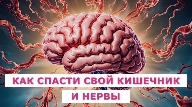 Прямой эфир: связь кишечника и нервной системы