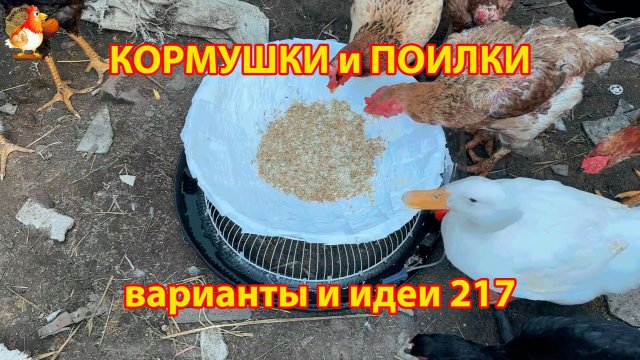 Кормушки и поилки для кур своими руками 217 🪚✂️ Пошаговая инструкция как сделать 🐔 🐓❣️