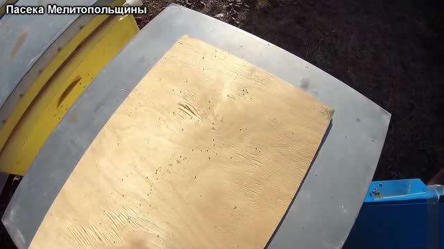 Проверяю наличие клеща после обработки